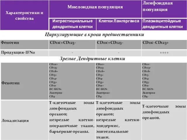 Циркулирующие в крови предшественники Зрелые Дендритные клетки