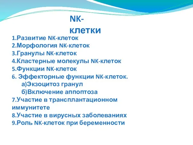 NK-клетки 1.Развитие NK-клеток 2.Морфология NK-клеток 3.Гранулы NK-клеток 4.Кластерные молекулы NK-клеток 5.Функции