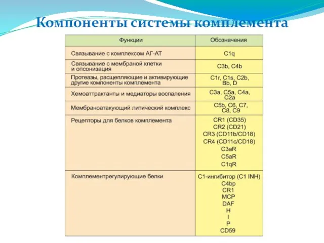 Компоненты системы комплемента