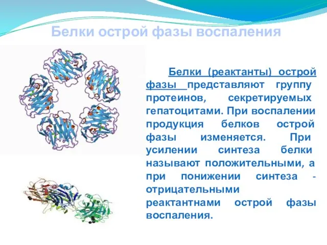 Белки острой фазы воспаления Белки (реактанты) острой фазы представляют группу протеинов,