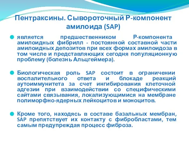 является предшественником Р-компонента амилоидных фибрилл - постоянной составной части амилоидных депозитов