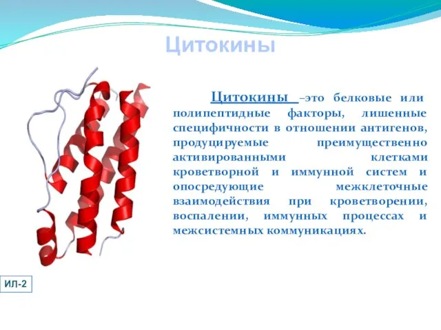 Цитокины Цитокины –это белковые или полипептидные факторы, лишенные специфичности в отношении