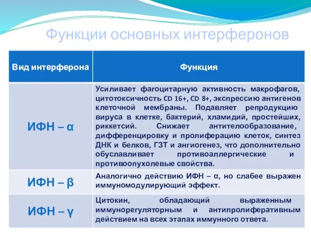 Функции основных интерферонов