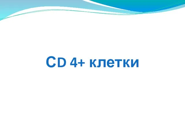 СD 4+ клетки