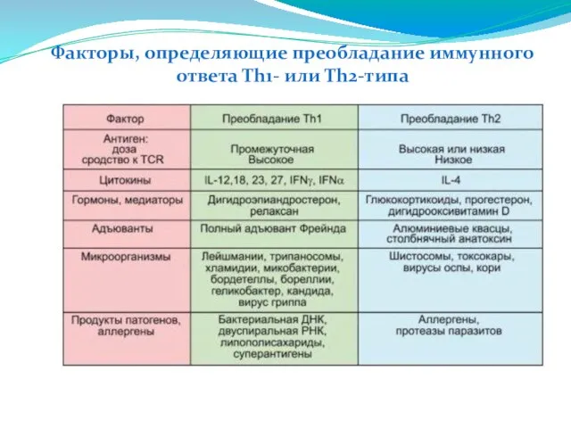 Факторы, определяющие преобладание иммунного ответа Th1- или Th2-типа