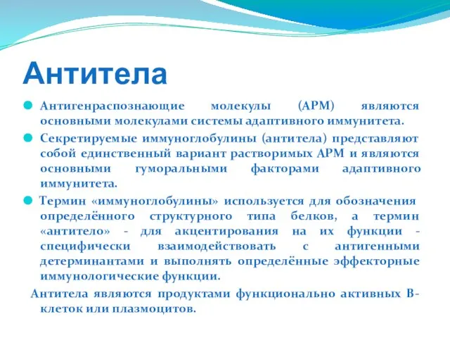 Антитела Антигенраспознающие молекулы (АРМ) являются основными молекулами системы адаптивного иммунитета. Секретируемые