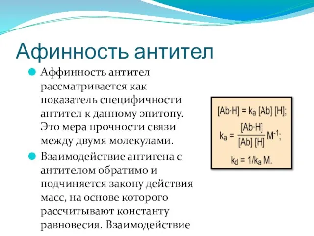 Афинность антител Аффинность антител рассматривается как показатель специфичности антител к данному