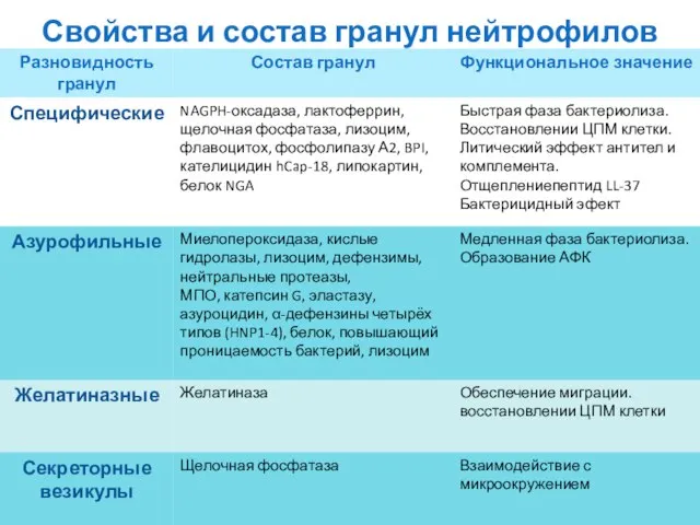 Свойства и состав гранул нейтрофилов