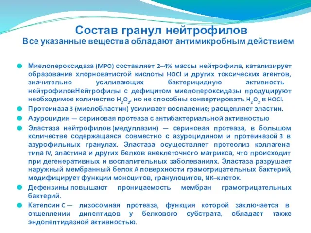 Все указанные вещества обладают антимикробным действием Миелопероксидаза (MPO) составляет 2–4% массы