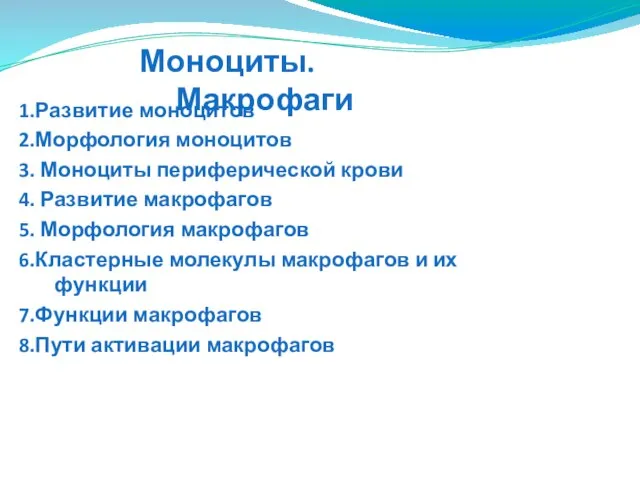 1.Развитие моноцитов 2.Морфология моноцитов 3. Моноциты периферической крови 4. Развитие макрофагов