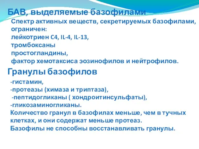 Спектр активных веществ, секретируемых базофилами, ограничен: лейкотриен C4, IL-4, IL-13, тромбоксаны