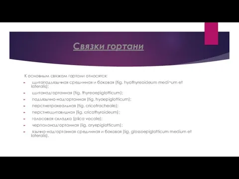 Связки гортани К основным связкам гортани относятся: щитоподъязычная срединная и боковая