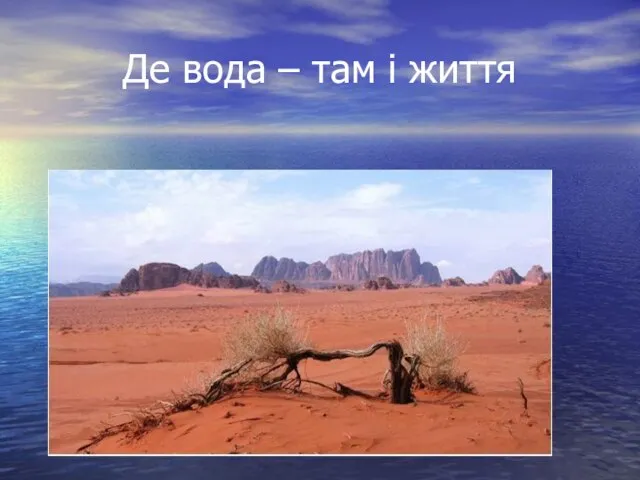 Де вода – там і життя