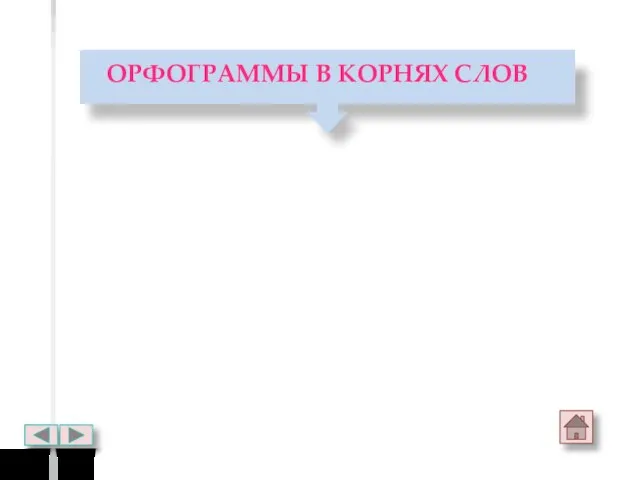 ОРФОГРАММЫ В КОРНЯХ СЛОВ