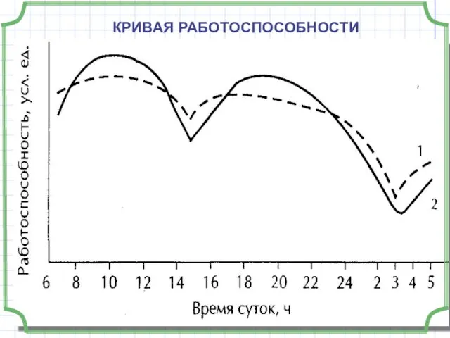 КРИВАЯ РАБОТОСПОСОБНОСТИ