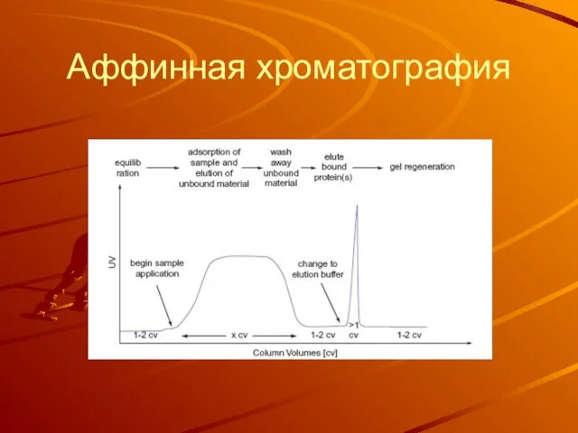 Аффинная хроматография