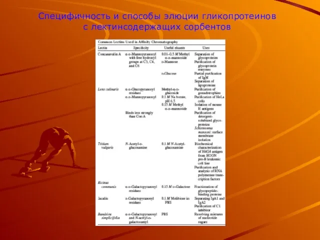 Специфичность и способы элюции гликопротеинов с лектинсодержащих сорбентов