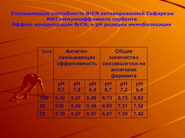 Связывающая способность BrCN активированной Сефарозы МАТ иммуноаффинного сорбента. Эффект концентрации BrCN, и рН реакции иммобилизации.