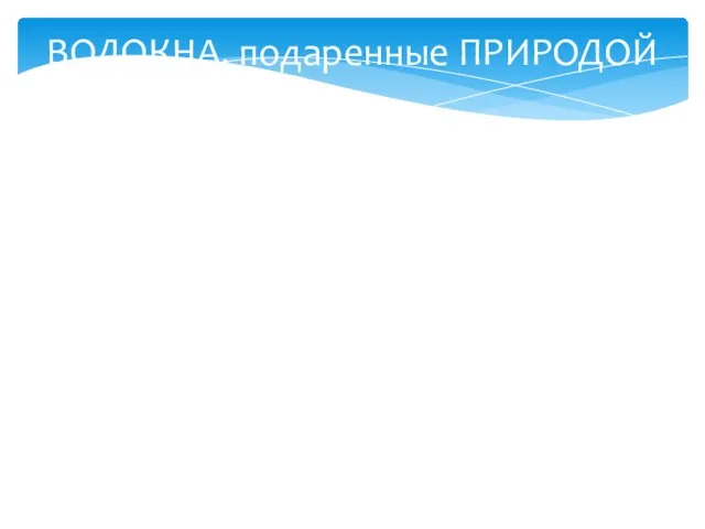 ВОЛОКНА, подаренные ПРИРОДОЙ