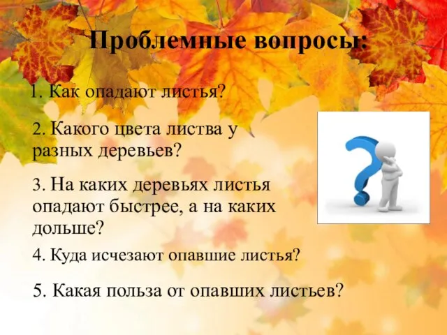 Проблемные вопросы: 1. Как опадают листья? 5. Какая польза от опавших