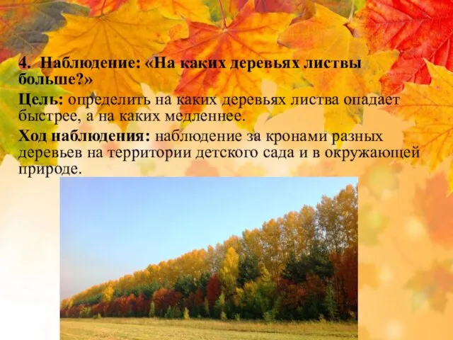 4. Наблюдение: «На каких деревьях листвы больше?» Цель: определить на каких