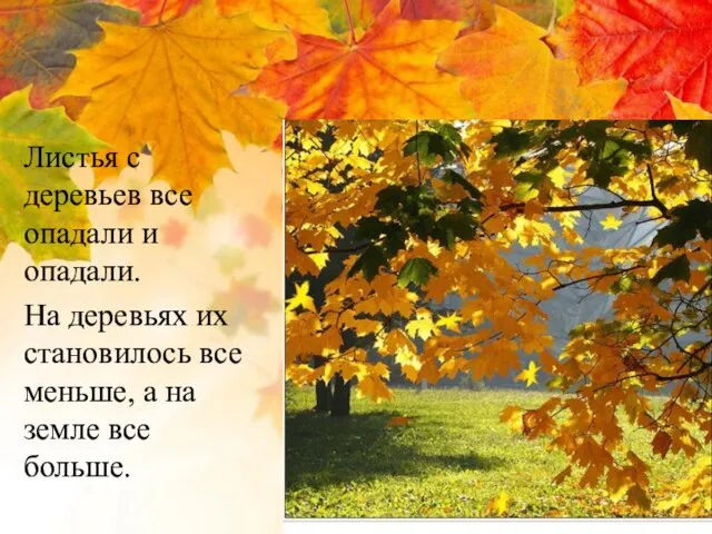 Листья с деревьев все опадали и опадали. На деревьях их становилось