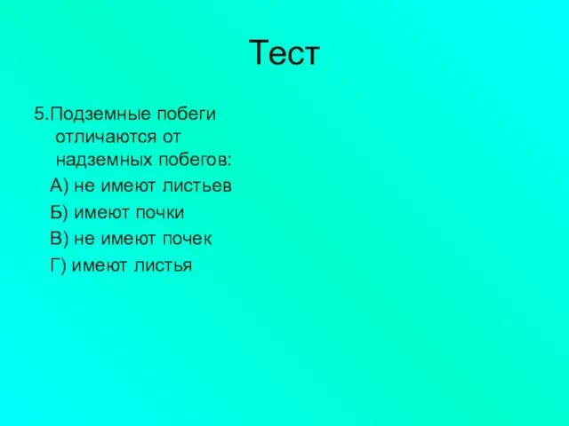 Тест 5.Подземные побеги отличаются от надземных побегов: А) не имеют листьев