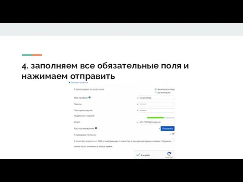 4. заполняем все обязательные поля и нажимаем отправить