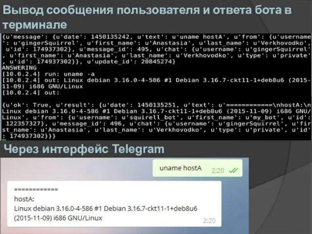 Вывод сообщения пользователя и ответа бота в терминале Через интерфейс Telegram