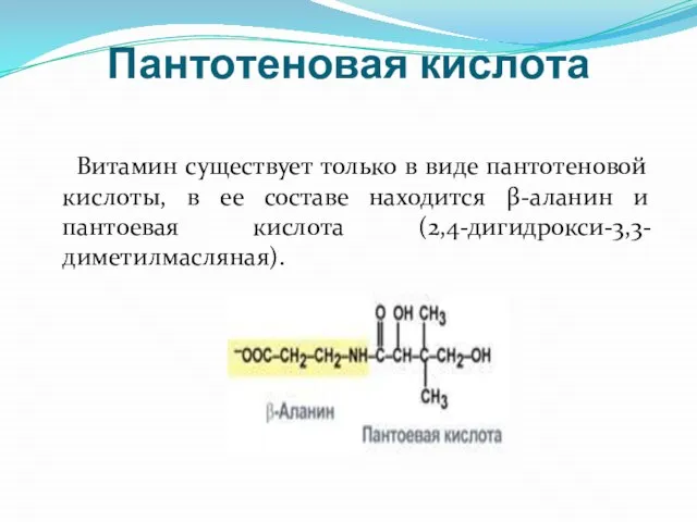 Пантотеновая кислота Витамин существует только в виде пантотеновой кислоты, в ее