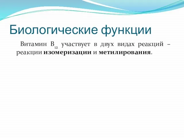 Биологические функции Витамин В12 участвует в двух видах реакций – реакции изомеризации и метилирования.