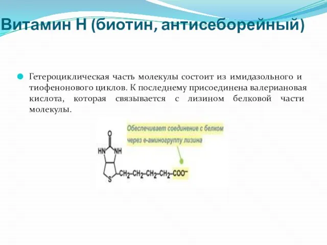 Витамин Н (биотин, антисеборейный) Гетероциклическая часть молекулы состоит из имидазольного и