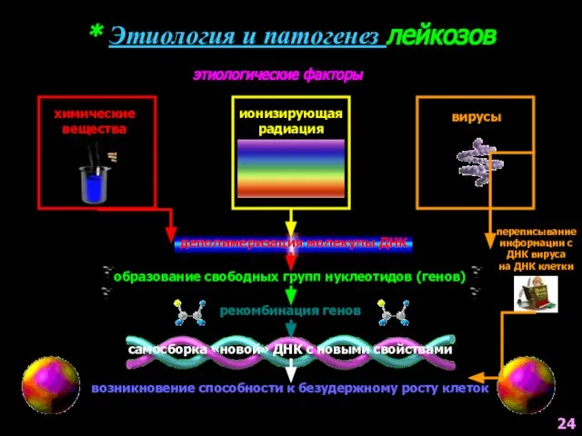 деполимеризация молекулы ДНК * Этиология и патогенез лейкозов химические вещества вирусы