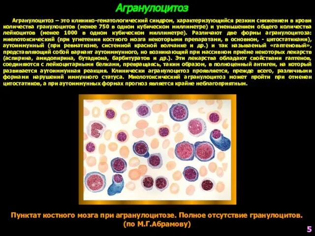 Пунктат костного мозга при агранулоцитозе. Полное отсутствие гранулоцитов. (по М.Г.Абрамову) Агранулоцитоз