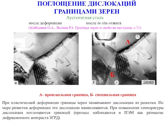 ПОГЛОЩЕНИЕ ДИСЛОКАЦИЙ ГРАНИЦАМИ ЗЕРЕН Аустенитная сталь после деформации после in situ