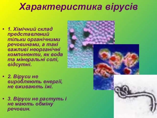 Характеристика вірусів 1. Хімічний склад представлений тільки органічними речовинами, а такі