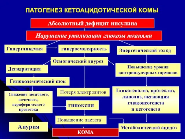 ПАТОГЕНЕЗ КЕТОАЦИДОТИЧЕСКОЙ КОМЫ Абсолютный дефицит инсулина Нарушение утилизации глюкозы тканями Гипергликемия