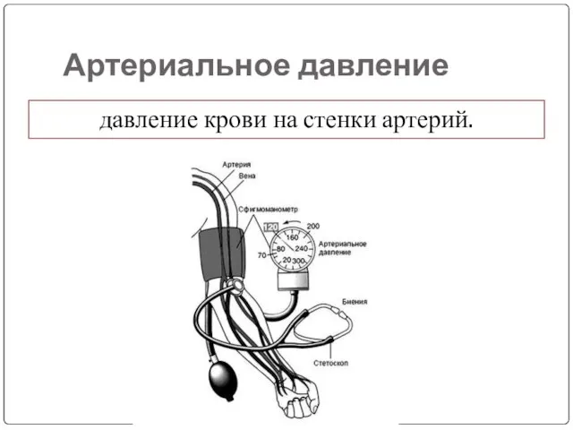 Артериальное давление давление крови на стенки артерий.