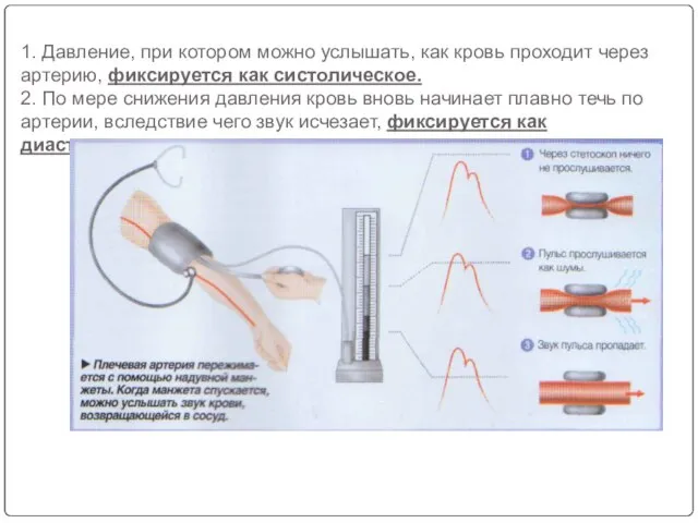 1. Давление, при котором можно услышать, как кровь проходит через артерию,