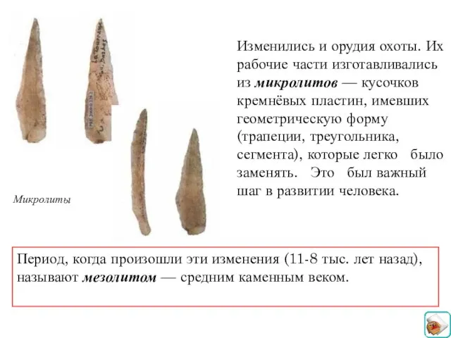 Изменились и орудия охоты. Их рабочие части изготавливались из микролитов —