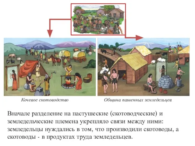 Вначале разделение на пастушеские (скотоводческие) и земледельческие племена укрепляло связи между