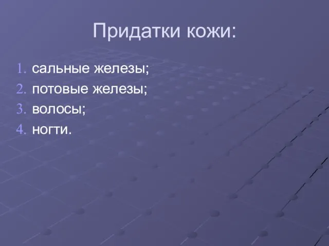 Придатки кожи: сальные железы; потовые железы; волосы; ногти.