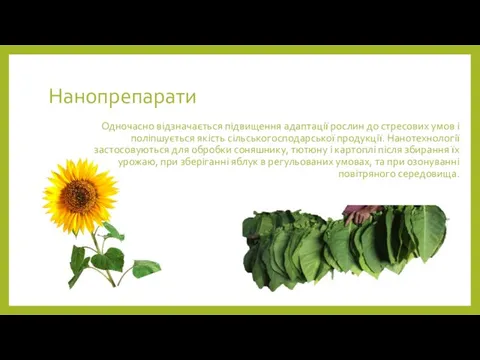 Нанопрепарати Одночасно відзначається підвищення адаптації рослин до стресових умов і поліпшується