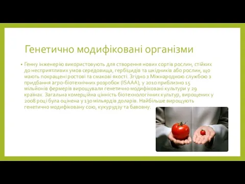 Генетично модифіковані організми Генну інженерію використовують для створення нових сортів рослин,