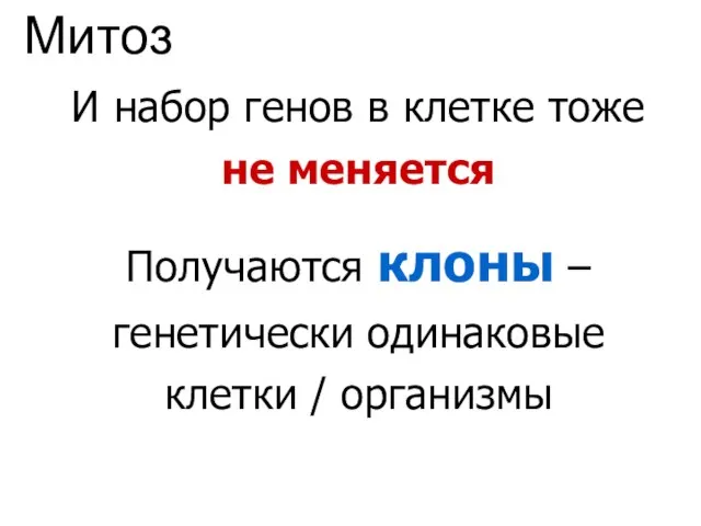 И набор генов в клетке тоже не меняется Получаются клоны –