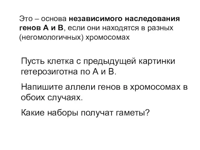 Это – основа независимого наследования генов А и В, если они