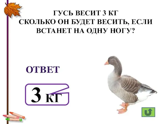 ГУСЬ ВЕСИТ 3 КГ СКОЛЬКО ОН БУДЕТ ВЕСИТЬ, ЕСЛИ ВСТАНЕТ НА ОДНУ НОГУ? ОТВЕТ 3 КГ