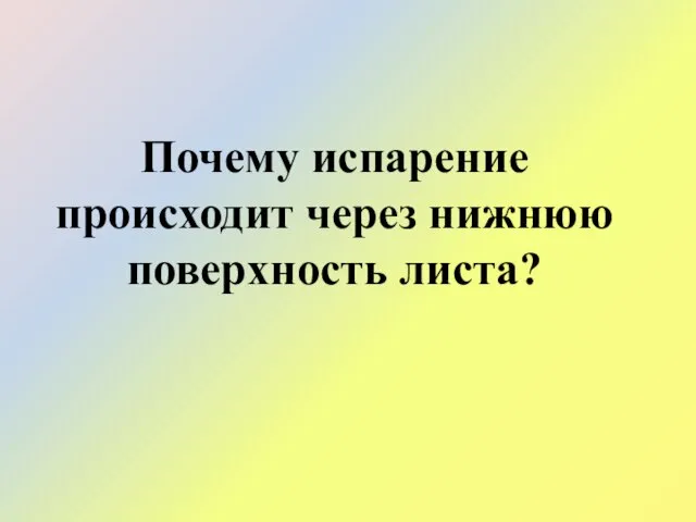 Почему испарение происходит через нижнюю поверхность листа?