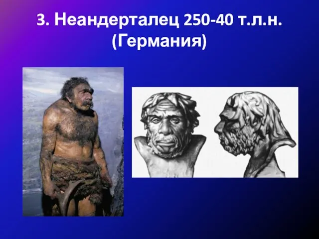 3. Неандерталец 250-40 т.л.н. (Германия)