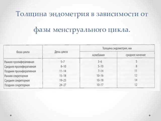 Толщина эндометрия в зависимости от фазы менструального цикла.